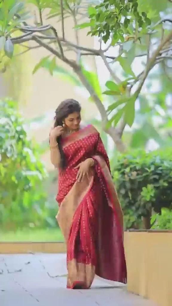 Beautiful Red Women Kanjeevaram Woven Banarasi Silk Saree with Contrast Border