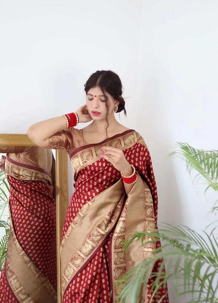Beautiful Red Women Kanjeevaram Woven Banarasi Silk Saree with Contrast Border