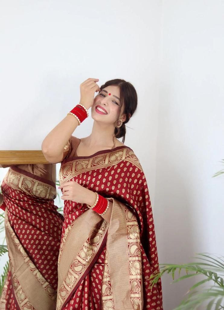 Beautiful Red Women Kanjeevaram Woven Banarasi Silk Saree with Contrast Border