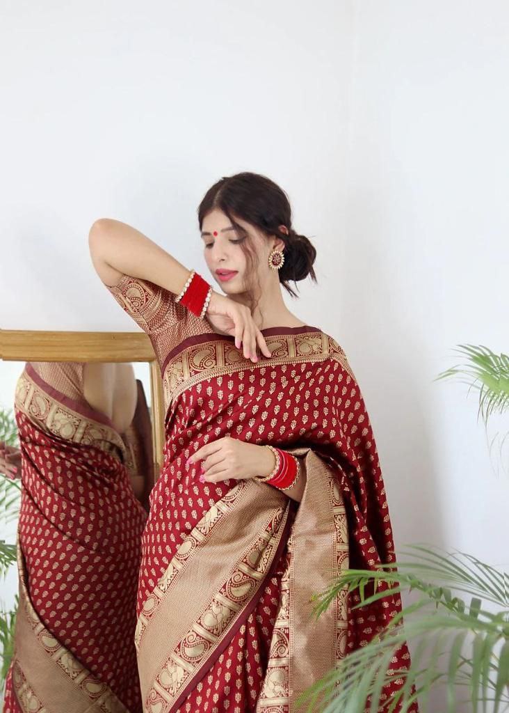 Beautiful Red Women Kanjeevaram Woven Banarasi Silk Saree with Contrast Border