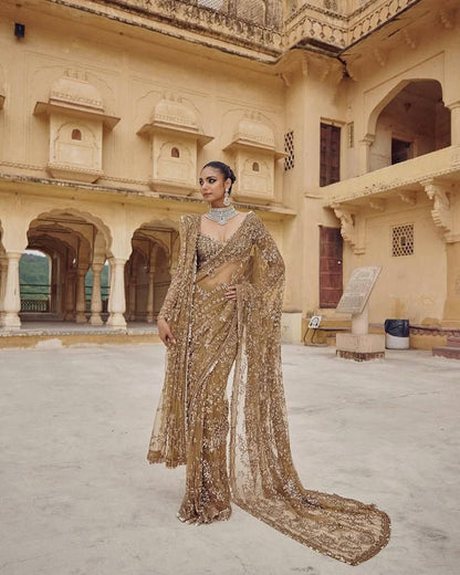 Premium Mono Net Saree with Heavy Multicolor Sequin Embroidery & Zalar Border