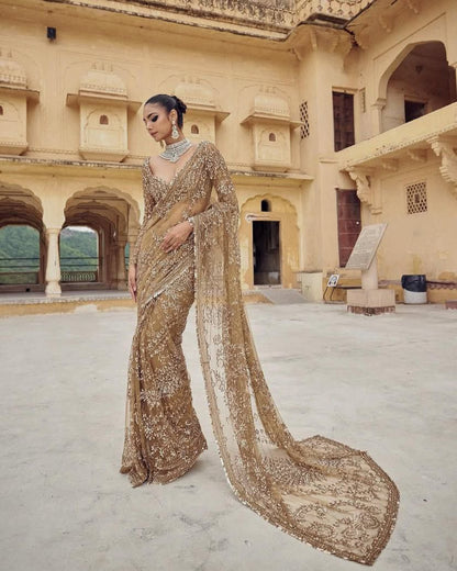 Premium Mono Net Saree with Heavy Multicolor Sequin Embroidery & Zalar Border