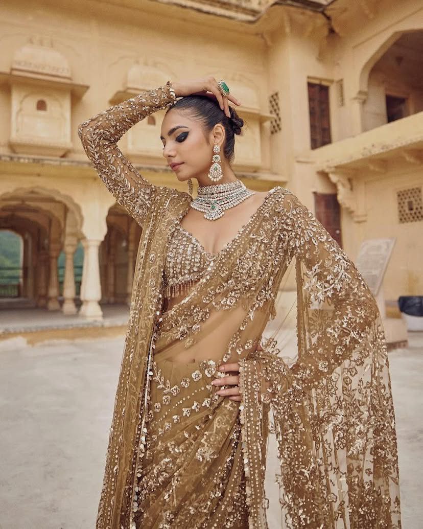 Premium Mono Net Saree with Heavy Multicolor Sequin Embroidery & Zalar Border