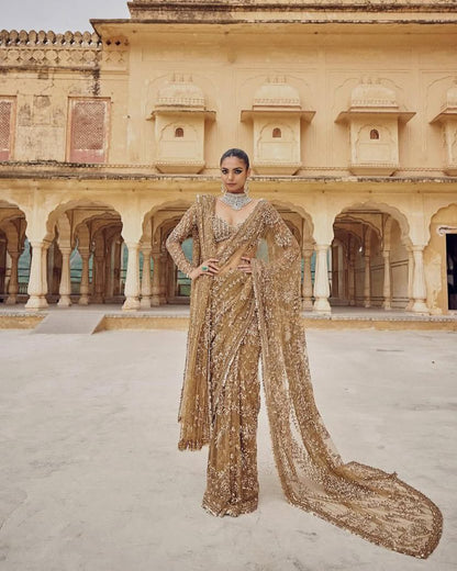 Premium Mono Net Saree with Heavy Multicolor Sequin Embroidery & Zalar Border