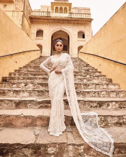 Heavy Butterfly Net Saree with 5mm Sequin Embroidery & Zalar Pallu