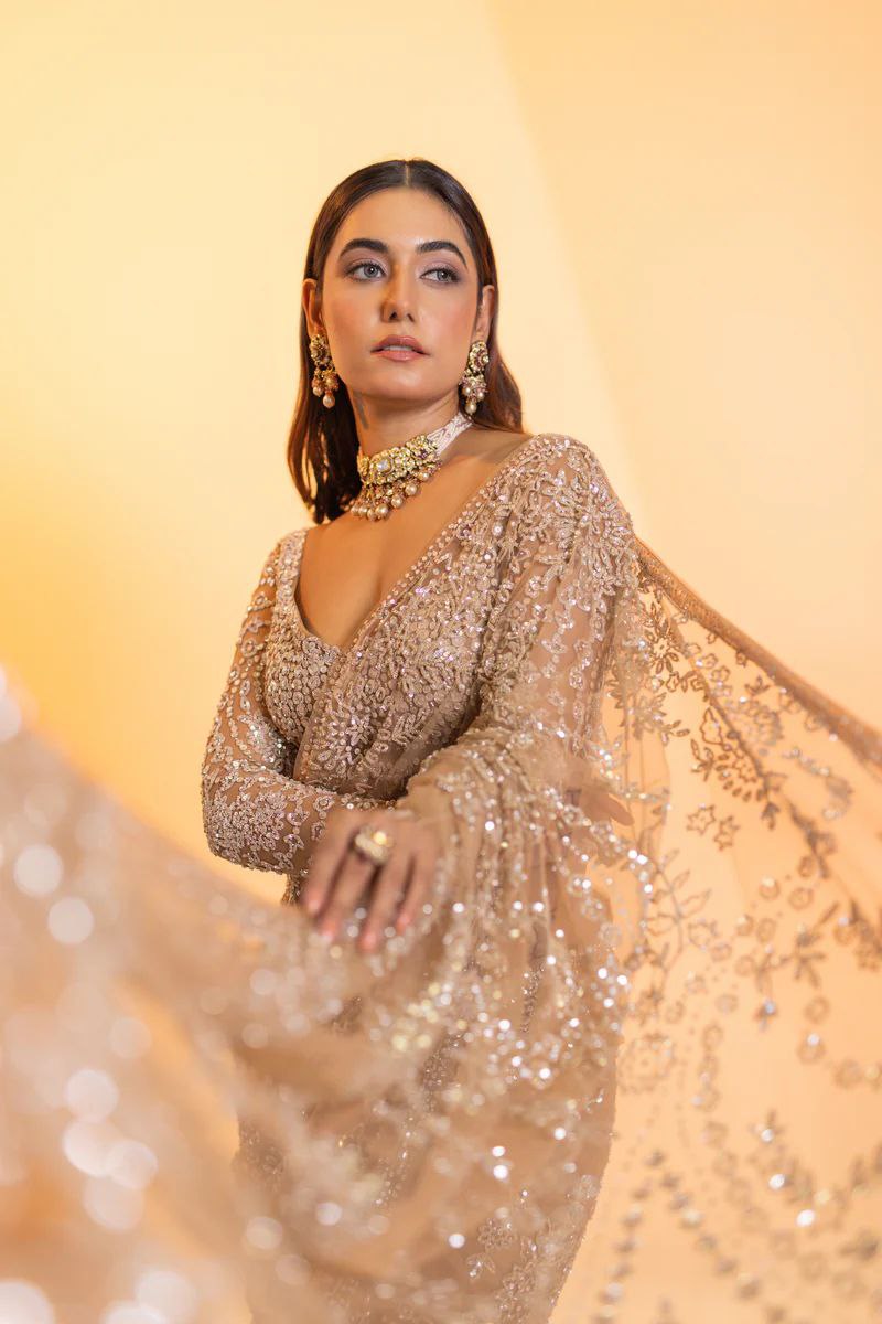 Heavy Quality Butterfly Net Saree with Sequins Embroidery & Zalar Pallu, Net Blouse with Front & Back Heavy Embroidery – 4.4 Meter Work