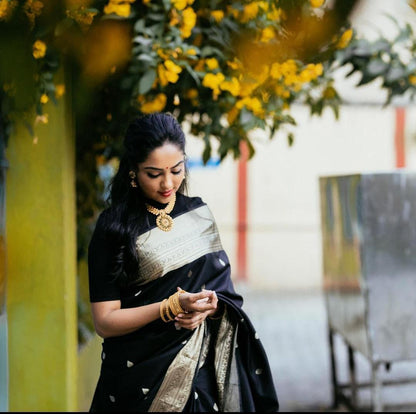 Black Woven Banarasi Silk Saree with Contrast Border & Blouse Piece
