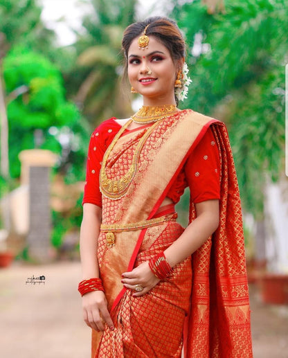 Womens Red Color Kanjivaram Soft Silk Patola saree With Blouse