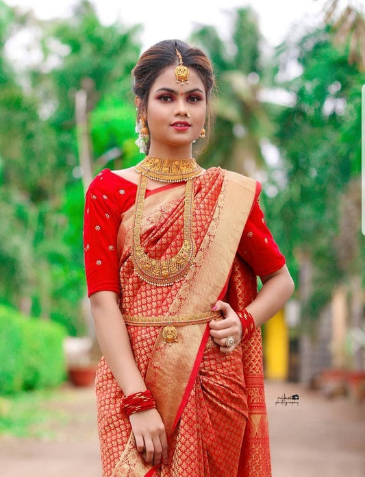 Womens Red Color Kanjivaram Soft Silk Patola saree With Blouse