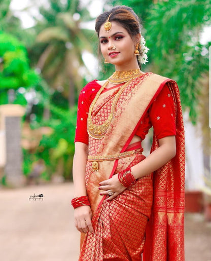 Womens Red Color Kanjivaram Soft Silk Patola saree With Blouse