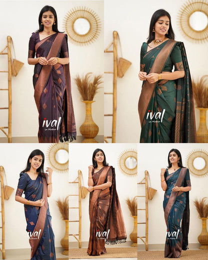 Women Geometric Pattern Banarasi Saree with Contrast Border And Blouse Piece
