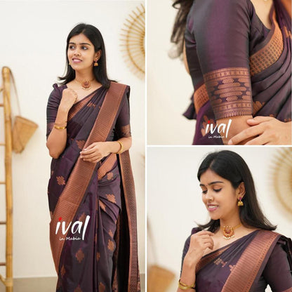 Women Geometric Pattern Banarasi Saree with Contrast Border And Blouse Piece