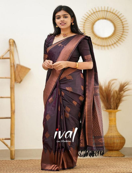 Women Geometric Pattern Banarasi Saree with Contrast Border And Blouse Piece