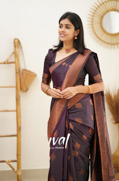 Women Geometric Pattern Banarasi Saree with Contrast Border And Blouse Piece